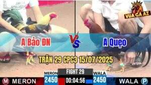 Trận 29 CPC3 15/07/2025 - Anh Bảo Đồng Nai Vs Anh Quẹo