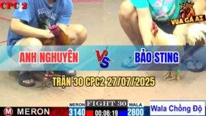 Trận 30 CPC2 27/7/2025 - Gà Bảo Sting Chấp Trạng Chồng Độ Vẫn Lụm Xổ