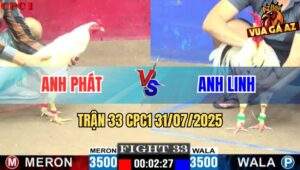 Trận 33 CPC1 31/7/2025 - Gà Bướm Anh Linh Ghim Cựa Quá Tịch Hạ Đối Thủ