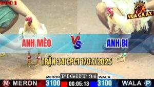 Trận 34 CPC1 1/7/2025 - Anh Mèo Vs Anh Bi