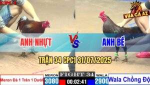 Trận 34 CPC1 31/7/2025 - Gà Anh Nhựt Cựa Trên Dưới Hạ Anh Bé Chồng Độ