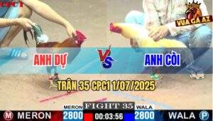 Trận 35 CPC1 1/7/2025 - Anh Dự Vũng Tàu Vs Anh Còi