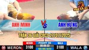 Trận 36 Giải CPC3 27/7/2025 - Anh Minh Hậu Giang Vs Anh Hưng Cần Thơ