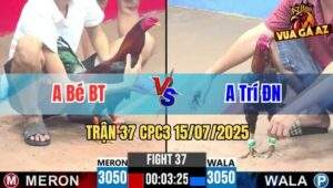 Trận 37 CPC3 15/07/2025 - Idol Bé Bến Tre Vs Anh Trí Đồng Nai