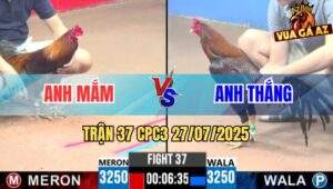 Trận 37 CPC3 27/7/2025 - Anh Mắm Vũng Tàu Lụm Xổ Anh Thắng Bến Tre
