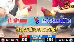 Trận 37 Giải CPC3 6/7/2025 - Tài Tây Ninh Vs Phúc Bình Dương