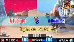 Trận 4 CPC3 15/07/2025 - Anh Tuấn Tiền Giang Vs Anh Duẩn Đức Hòa