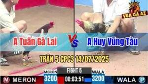 Trận 5 CPC3 14/07/2025 - Anh Tuấn Gà Lai Vs Anh Huy Vũng Tàu