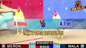Trận 7 CPC2 13/7/2025 - Gà Anh Hùng Thắng Trên Thế Thua