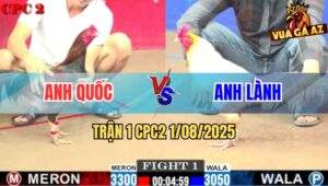 Trận 1 CPC2 1/8/2025 - Anh Lành Mở Bát Chấp Đối Thủ Hơn 2 Chấm Gà