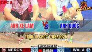 Trận 10 CPC2 1/8/2025 - Điều Cọp Anh Xe Làm Đá Bát 1 Cú Ói Chạy Chết
