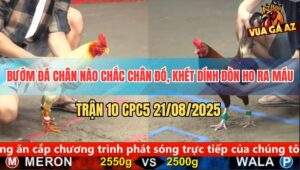 Trận 10 CPC5 21/8/2025 - Bướm Đâm Khét Chân Trắng Lủng Lỗ Như Tổ Ong