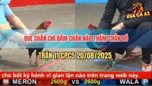 Trận 11 CPC5 20/5/2025 - Que Chân Chí Hít Vô Điều Chân Xanh Bay Bồ