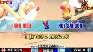 Trận 12 CPC2 3/8/2025 - Gà Anh Hiếu Gốc Bự C2 Đá Không Kịp Tha Lơ