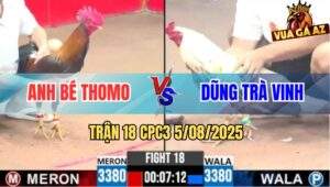 Trận 18 CPC3 5/8/2025 - Anh Bé Thomo Đi 3 Con Gãy Cặp Rưỡi