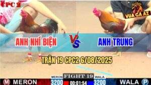 Trận 19 CPC2 6/8/2025 - Anh Bảo Sting Thả Giùm Anh Nhí Lụm Xổ Quá Đẹp