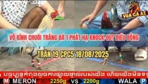 Trận 19 CPC5 18/8/2025 - Chuối Trắng Vô Trong Đá Phát Một Hạ Điều Bông