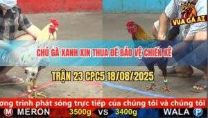 Trận 23 CPC5 18/8/2025 - Gà Bướm Đâm Gà Xám Ói Đen Đầu Chủ Gà Xin Thua
