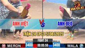 Trận 24 CPC3 5/8/2025 - Gà Anh Beo May Độ Có Chân Cứu Chủ