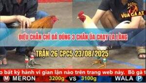 Trận 26 CPC5 23/8/2025 - Điều Chân Chì Sút 3 Chân Úa Kêu Miệng Bỏ Chạy