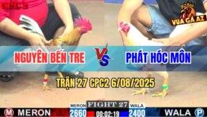 Trận 27 CPC2 6/8/2025 - Gà Cú Anh Nguyên Bắt Bướm Trong Tay Nước Đầu