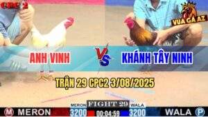 Trận 29 CPC2 3/8/2025 - Anh Vinh Đụng Anh Khánh Tây Ninh