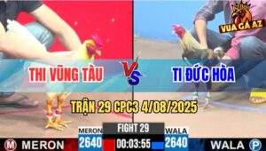 Trận 29 CPC3 4/8/2025 - Anh Thi Vũng Tàu Và Anh Ti Đức Hòa
