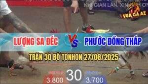 Trận 30 Bồ TonHon 27/8/2025 - Anh Lượng Sa Đéc Và Anh Phước Đồng Tháp