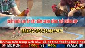 Trận 32 CPC5 23/8/2025 - Khét Đuôi Lao Đâm Xanh Bông Thở Không Kịp
