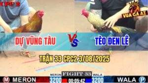Trận 33 CPC2 3/8/2025 - Anh Dự Vũng Tàu Tiếp Tục Hạ Anh Tèo Đen Lê