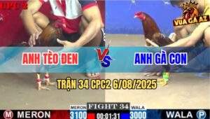 Trận 34 CPC2 6/8/2025 - Đám Điều Anh Tèo Đen Lê Đâm Không Bỏ Chân Nào