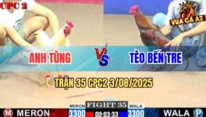 Trận 35 CPC2 3/8/2025 - Gà Úa Anh Tùng Đang Đá Bỏ Chạy Bay Bồ