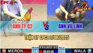 Trận 37 CPC2 3/8/2025 - Xám Điều Anh Tý Quận 2 Đá Bo Như Búa Bổ