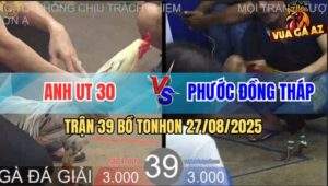 Trận 39 Bồ TonHon 27/8/2025 - Anh Út 30 Đụng Anh Phước Đồng Tháp