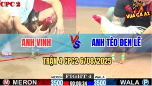 Trận 4 CPC2 6/8/2025 - Anh Vinh Đụng Độ Anh Tèo Đen Lê