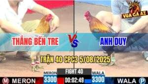 Trận 40 CPC3 5/8/2025 - Màu Tây Bán Nhà Anh Thắng Đưa Anh Em Ra Đảo