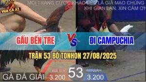 Trận 53 Bồ TonHon 27/8/2025 - Anh Gấu Bến Tre Và Anh Đi Campuchia