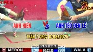 Trận 7 CPC2 6/8/2025 - Anh Hiền Và Anh Tèo Đen Lê