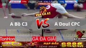 Trận 11 Tonhon 13_08_2025 - Que Nhấp Mấy Chân Hạ Điều Bồ C3 Nhanh Gọn Lẹ