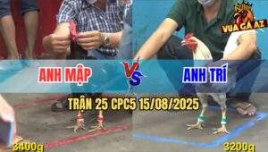 Trận 25 CPC5 ngày 15/08/2025