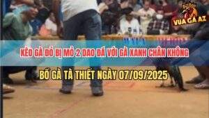 Kèo Bị Mỏ Đá Với Chân Không Tại Bồ Tà Thiết Ngày 7/9/2025