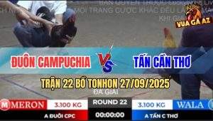 Trận 22 Bồ TonHon 27/09/2025 - Anh Đuôn Campuchia Gặp Anh Tấn Cần Thơ
