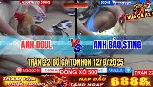Trận 22 Bồ Tonhon 12/9/2025