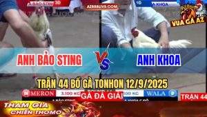 Trận 44 Bồ Tonhon 12/9/2025