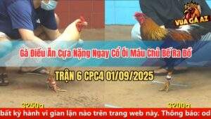 Trận 6 CPC4 1/9/2025