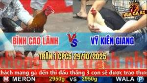Trận 1 CPC5 29/10/2025 - Anh Bình Cao Lãnh Và Anh Vỹ Kiên Giang