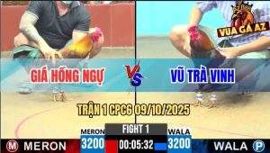 Trận 1 CPC6 9/10/2025 - Điều Lá Anh Vũ Sút Đúng 1 Chân Gà Que Lìa Giò