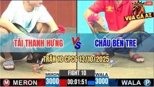 Trận 10 CPC6 13/10/2025 - Que Nghệ Anh Tài Ra Đòn Hiểm Xanh Té Gãy Cổ