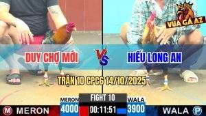 Trận 10 CPC6 14/10/2025 - Điều Cọp Anh Hiếu Đá Toàn Đâm Đầu Cần