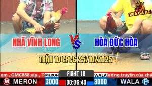 Trận 10 CPC6 26/10/2025 - Chuối Lửa Theo Đuôi Điều Không Kịp Chịu Chết